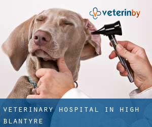 Veterinary Hospital in High Blantyre