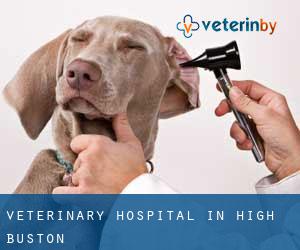 Veterinary Hospital in High Buston
