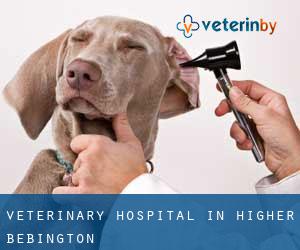 Veterinary Hospital in Higher Bebington
