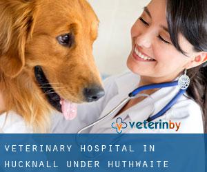 Veterinary Hospital in Hucknall under Huthwaite