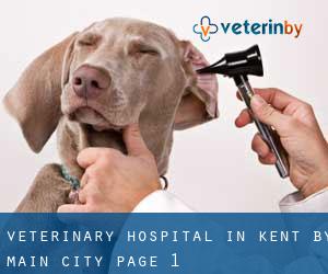 Veterinary Hospital in Kent by main city - page 1