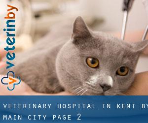 Veterinary Hospital in Kent by main city - page 2