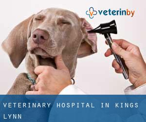 Veterinary Hospital in Kings Lynn