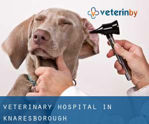 Veterinary Hospital in Knaresborough Veterinary Hospital in Knaresborough
