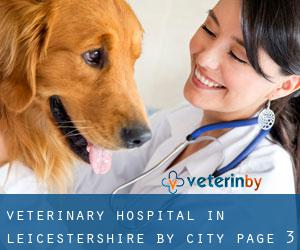 Veterinary Hospital in Leicestershire by city - page 3