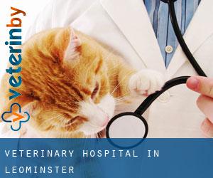 Veterinary Hospital in Leominster Veterinary Hospital in Leominster