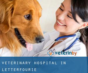 Veterinary Hospital in Letterfourie