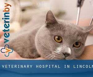 Veterinary Hospital in Lincoln Veterinary Hospital in Lincoln