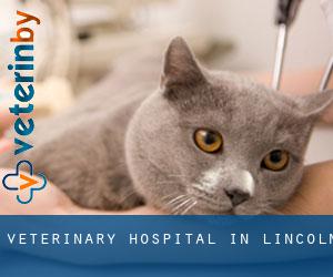 Veterinary Hospital in Lincoln