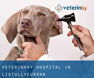 Veterinary Hospital in Listullycurran Veterinary Hospital in Listullycurran