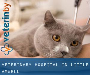 Veterinary Hospital in Little Amwell