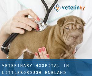 Veterinary Hospital in Littleborough (England)
