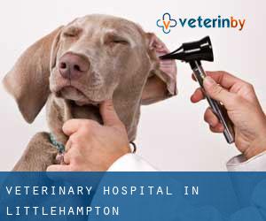Veterinary Hospital in Littlehampton