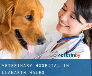 Veterinary Hospital in Llanarth (Wales)