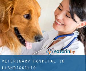 Veterinary Hospital in Llandissilio