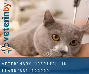 Veterinary Hospital in Llandyssiliogogo