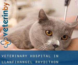 Veterinary Hospital in Llanfihangel Rhydithon