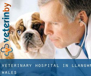 Veterinary Hospital in Llangwm (Wales)