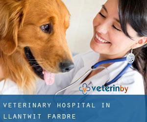 Veterinary Hospital in Llantwit Fardre