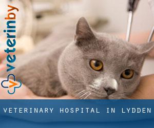 Veterinary Hospital in Lydden