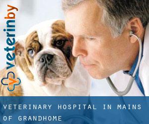 Veterinary Hospital in Mains of Grandhome