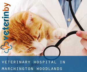 Veterinary Hospital in Marchington Woodlands