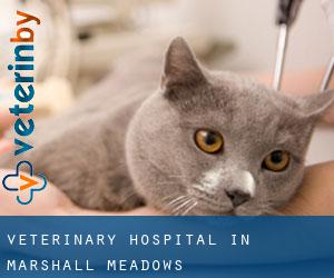 Veterinary Hospital in Marshall Meadows