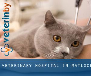 Veterinary Hospital in Matlock