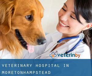 Veterinary Hospital in Moretonhampstead