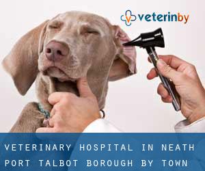 Veterinary Hospital in Neath Port Talbot (Borough) by town - page 1