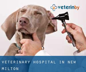 Veterinary Hospital in New Milton