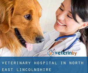 Veterinary Hospital in North East Lincolnshire