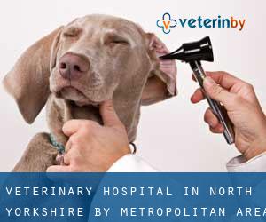 Veterinary Hospital in North Yorkshire by metropolitan area - page 9