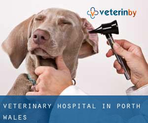Veterinary Hospital in Porth (Wales)