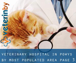 Veterinary Hospital in Powys by most populated area - page 3