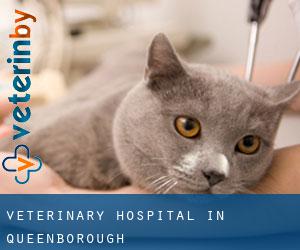 Veterinary Hospital in Queenborough