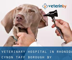 Veterinary Hospital in Rhondda Cynon Taff (Borough) by municipality - page 1