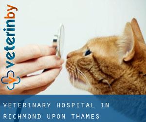 Veterinary Hospital in Richmond upon Thames Veterinary Hospital in Richmond upon Thames