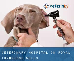 Veterinary Hospital in Royal Tunbridge Wells