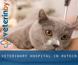 Veterinary Hospital in Ruthin Veterinary Hospital in Ruthin