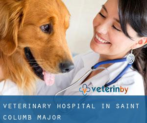 Veterinary Hospital in Saint Columb Major