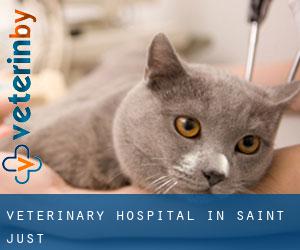Veterinary Hospital in Saint Just