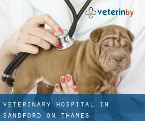 Veterinary Hospital in Sandford-on-Thames