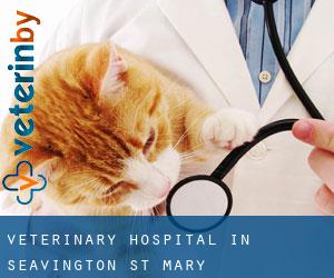 Veterinary Hospital in Seavington st. Mary