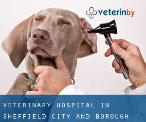 Veterinary Hospital in Sheffield (City and Borough)