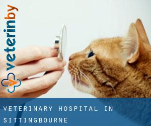 Veterinary Hospital in Sittingbourne