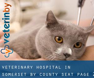 Veterinary Hospital in Somerset by county seat - page 2