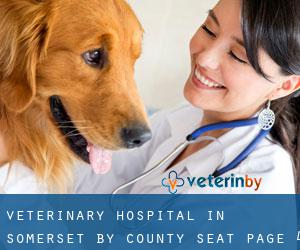 Veterinary Hospital in Somerset by county seat - page 4