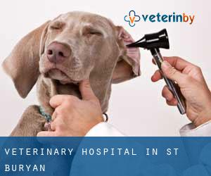 Veterinary Hospital in St. Buryan