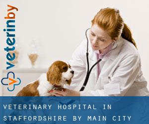 Veterinary Hospital in Staffordshire by main city - page 1